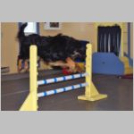 Cosak_saut_barres.jpg