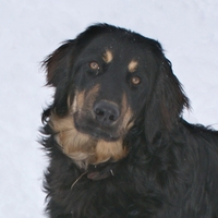 Doutchka