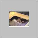 Photo598.jpg