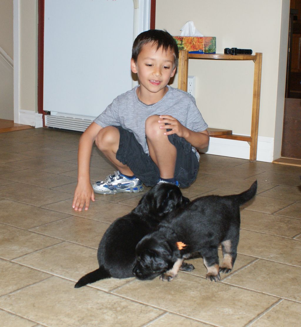 Meeting children