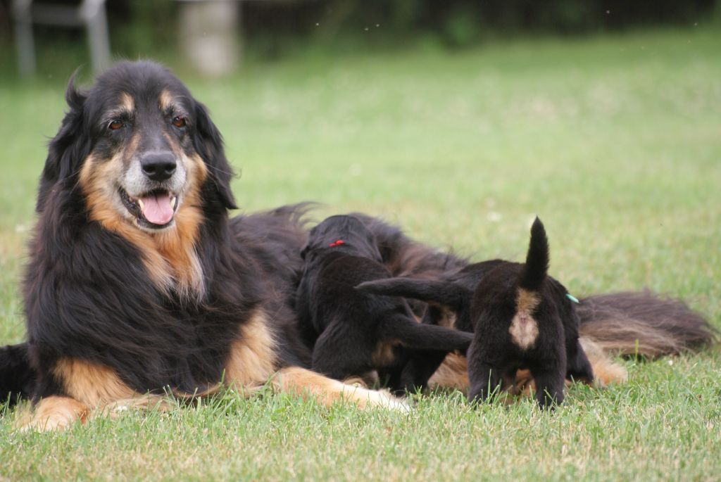 Meeting grand-mother Fenja