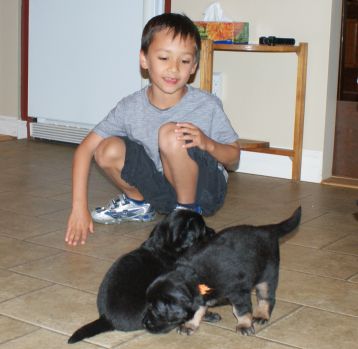 Meeting children