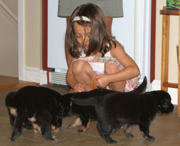 Meeting children