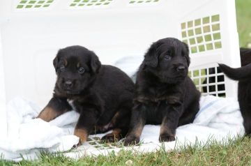First time outside home