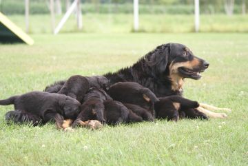 First picnic