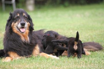 Meeting their grand-mother Fenja