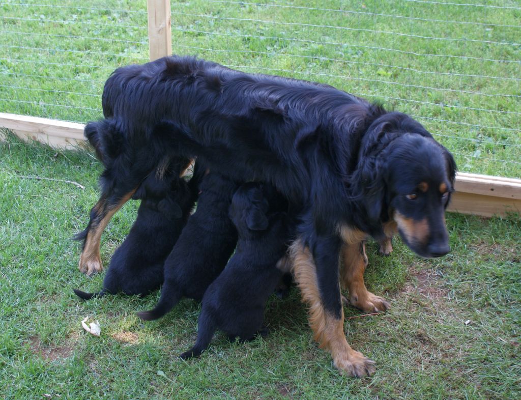 It is more difficult to feed them!
