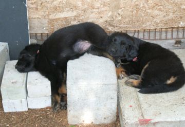 A good nap!