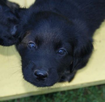 Hi !!