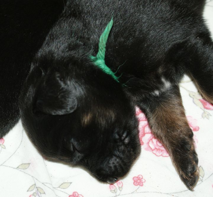 Sleeping