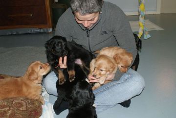Lot of cuddling and handling