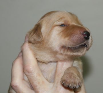 Open eyes and nails
