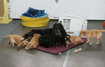Special moment at 6� weeks old