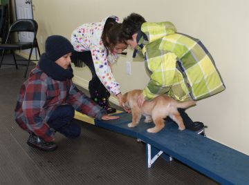Little help helps