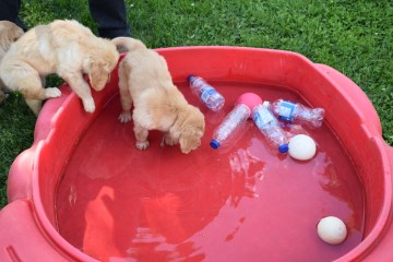 Meet with water