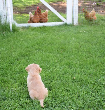 New friends ?