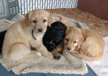 Hello! We're still too young to leave home