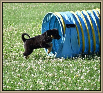 Let's go to the tunnel!