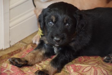 Hi!